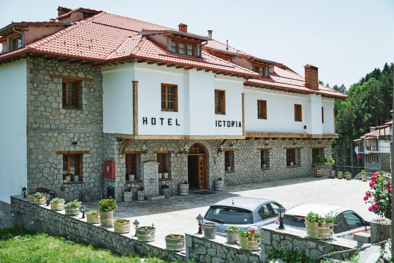 Hotel Victoria Metsovo Ngoại thất bức ảnh