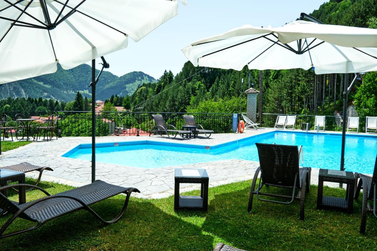 Hotel Victoria Metsovo Ngoại thất bức ảnh