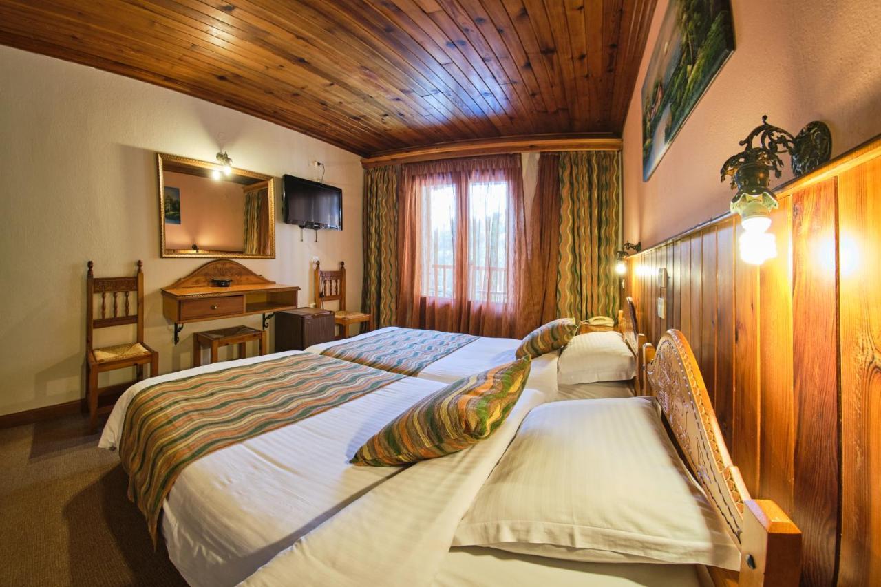 Hotel Victoria Metsovo Ngoại thất bức ảnh