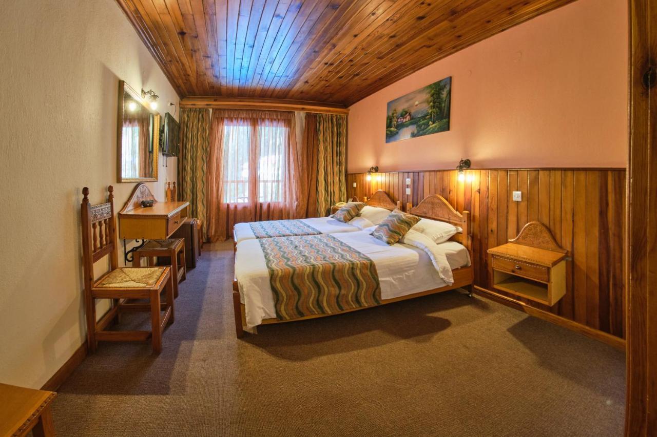 Hotel Victoria Metsovo Ngoại thất bức ảnh