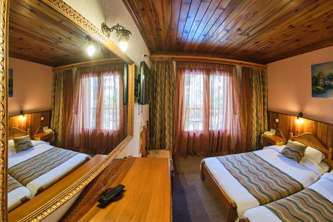 Hotel Victoria Metsovo Ngoại thất bức ảnh