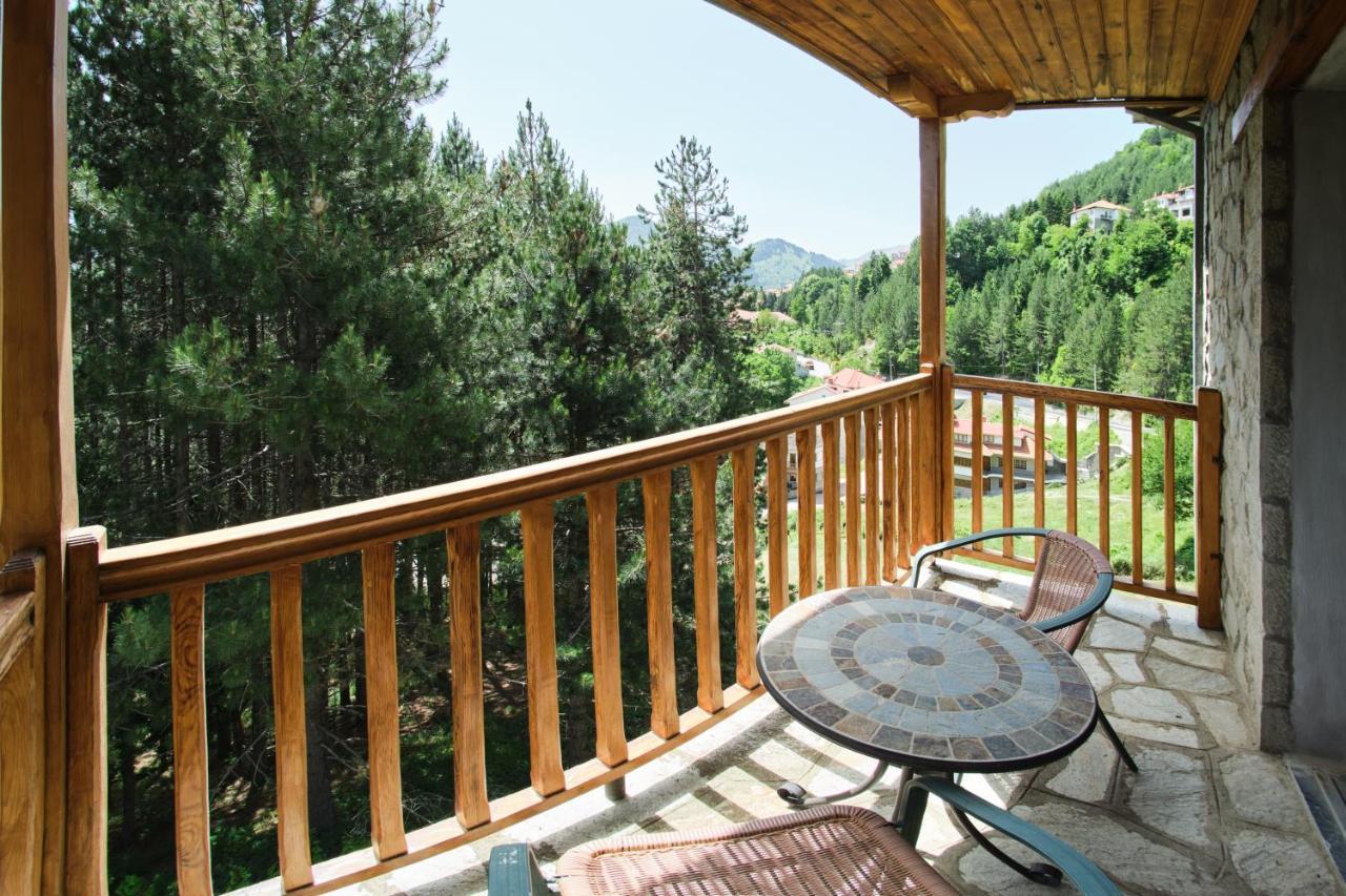 Hotel Victoria Metsovo Ngoại thất bức ảnh